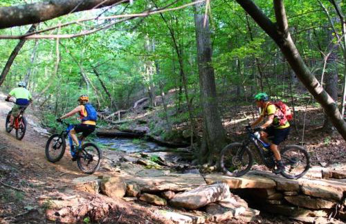 Nordins Hillside Cottage - Foto 36