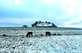 Hallig Hüs - Foto 22
