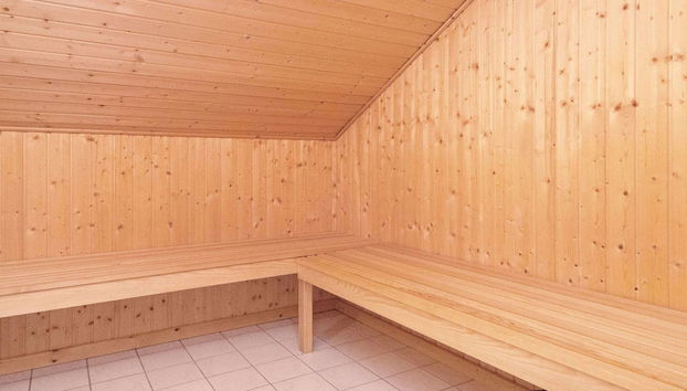 6 Person Holiday Home in Blavand - Foto 2, Sauna