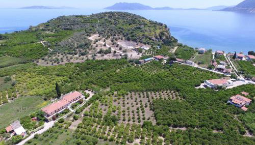 Το Είδωλον - Foto 4