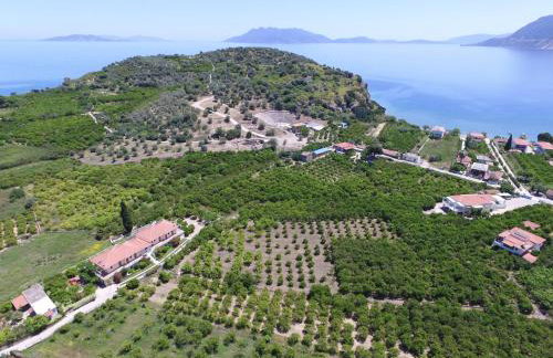 Το Είδωλον - Foto 4