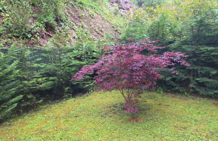 Apartamento turístico Aguere - Foto 20