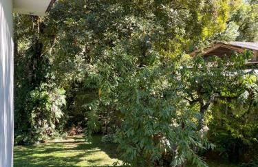 Memora Guesthouse Bateias - Casa Inteira e quartos em chácara - Photo 73