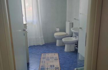 Il tulipano - Foto 21