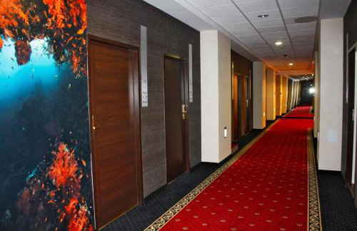 Boutique Hotel's Sosnowiec - Foto 27