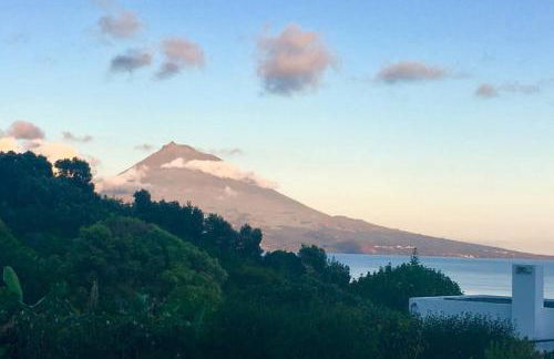 Summer house with BBQ and Garden - Foto 1