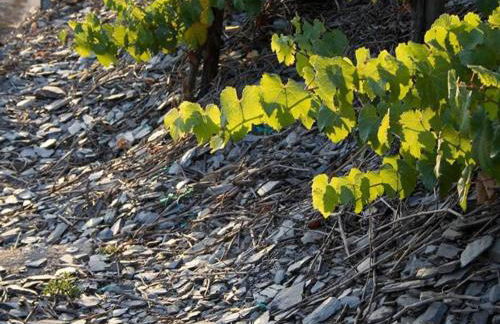 Wine Country Apartment - Foto 39