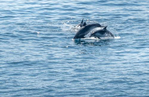 Penthouse Ventur - Foto 26