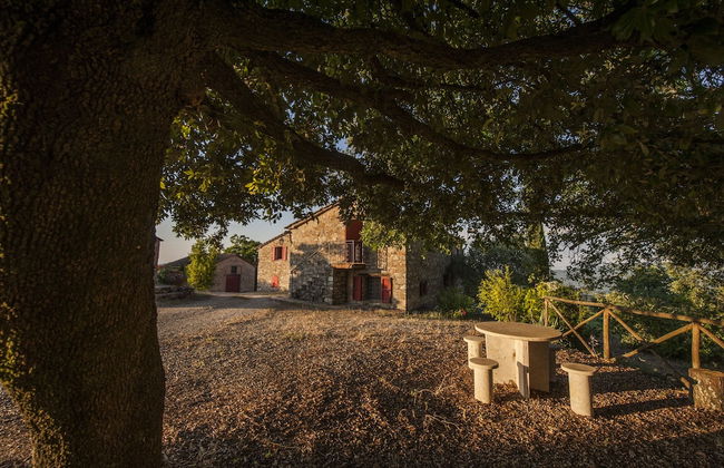 Podere San Ansano 14 2 - Foto 12