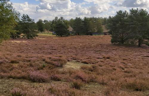 Apartment Wohnung in Jameln mit Garten- Grill und Terrasse by Interhome - Foto 35