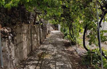 Casa Rural La Hoyita de Tunte - Foto 23