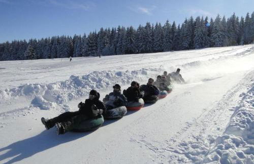 Apartment Wiesengrund by Interhome - Foto 16