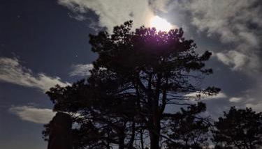 O Muiño do Torneiro - Foto 3