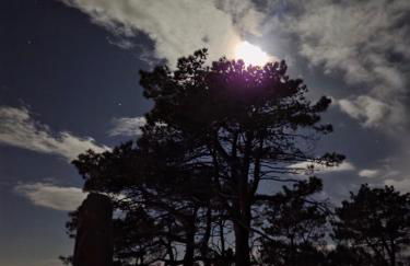 O Muiño do Torneiro - Foto 3