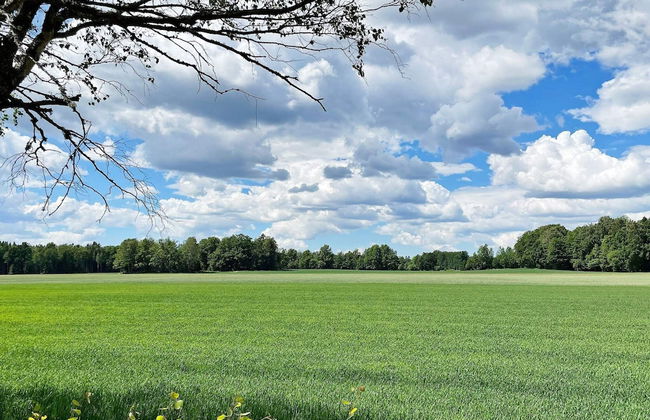 4 Person Holiday Home in Falkoping - Foto 7