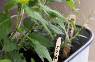 The Old Cider House - Photo 52