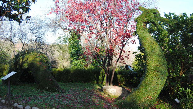 Enchanted Forest Tickets - Foto 2