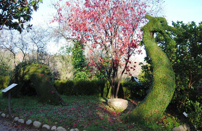 Enchanted Forest Tickets - Foto 2