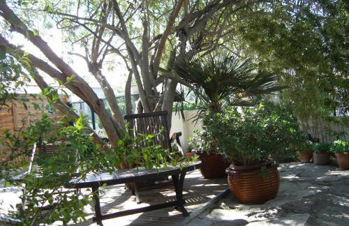 Cielito Lindo - Foto 15