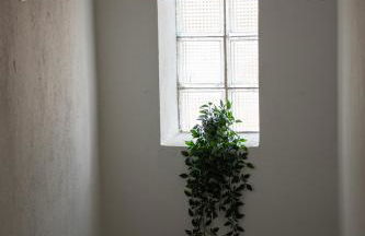Maison de la Porte des Loups dans le Ventoux - Foto 32
