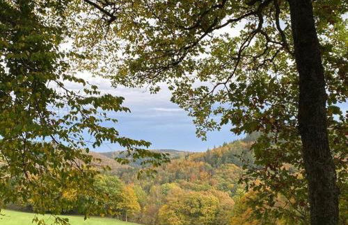 Gästehaus Monschau - Foto 21