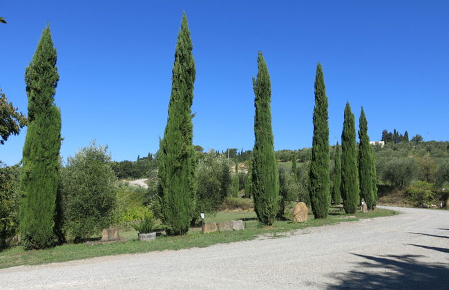 Le Palaie - 'Padronale' (PEC209) - Foto 31