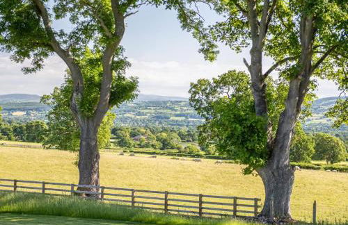 5 Bed in Denbigh oc-86009 - Foto 66