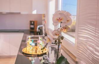 Marlin House II - Foto 13