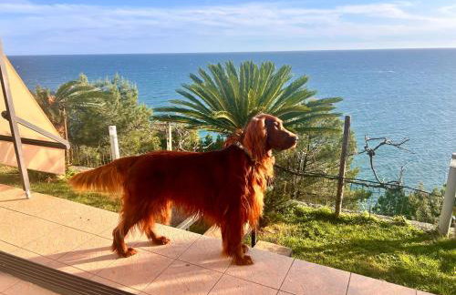 La FINESTRA sul MARE - Foto 22
