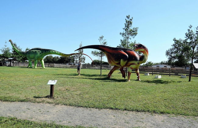 Bungalow Near the Baltic Sea Beach - Foto 24