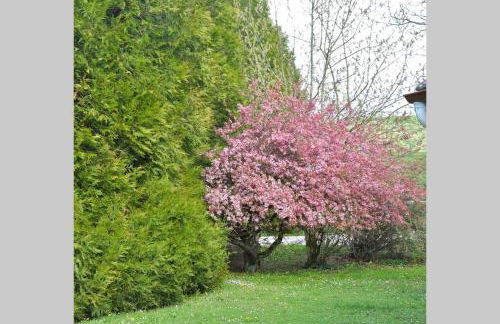 Domaine des Montots - Foto 36