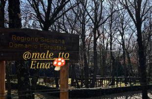 Casa Parrinello Maletto Etna - Foto 28