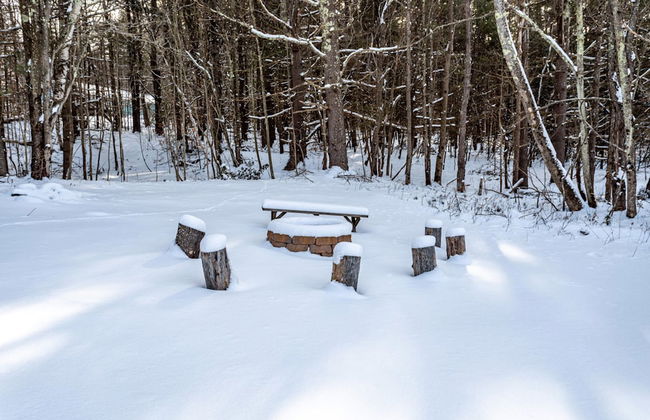 Ski Hike Lodge 5BR w Fire Pit Cozy Spaces - Foto 48