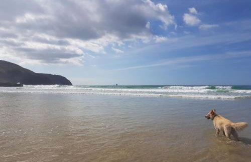 Carines Barns - Par - Foto 43