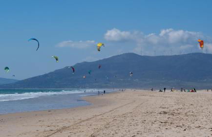 2060-Newly furnished 2 bedrooms apt with golf - Photo 16