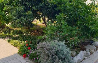 Apartments in Pirovac 34905 - Photo 20