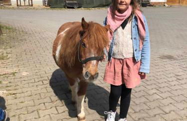 Bauernhof Nißl - Foto 43