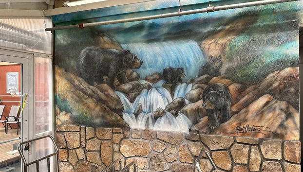 Gatlinburg Towers Condo Unit 501 - Great Location! Close To Town! 3 Bedroom Condo by RedAwning - Foto 5