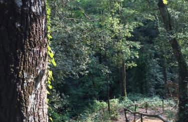 San Carlo a La Molinella - Photo 63