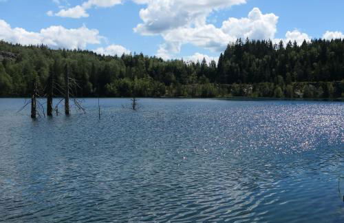 Lauschablick FeWo Thüringen - Foto 34