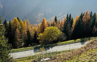 Il Cirmolo delle Saline - Foto 18