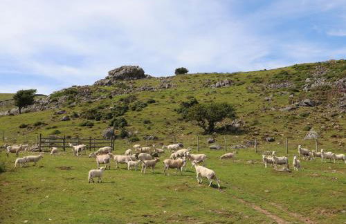 Cwm Ceiliog Annex - Photo 22