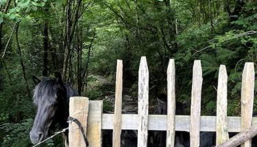 Casa Rural Gaztandizabal - Foto 5