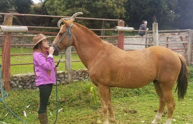 Visita a la Hacienda Hipolongo Cruz de Mayo - Foto 5