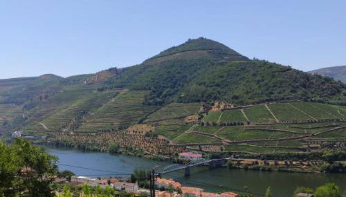 Quinta da Galeira - Foto 4