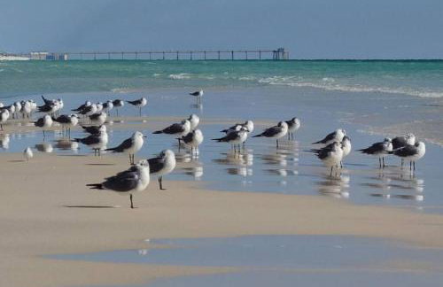 Spacious Home Minutes to the Beach - Foto 29