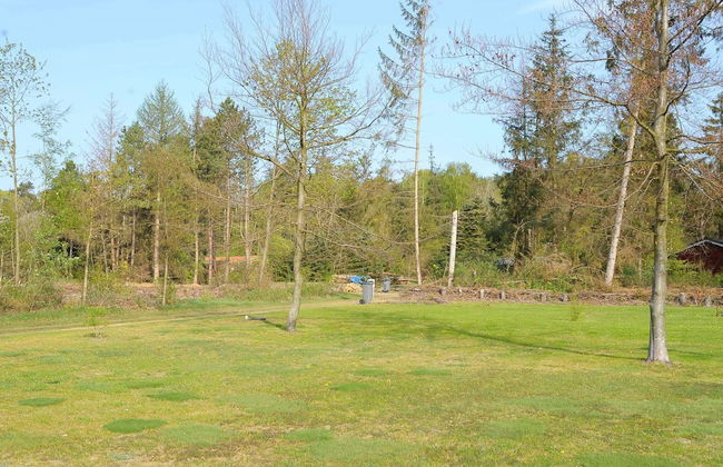 5 Person Holiday Home in Ans By-by Traum - Photo 4