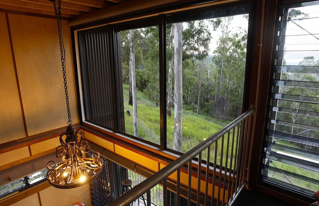 Gold Coast Tree Houses - Foto 29
