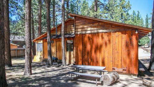 Avalon Hide OUT #1336 - Foto 5