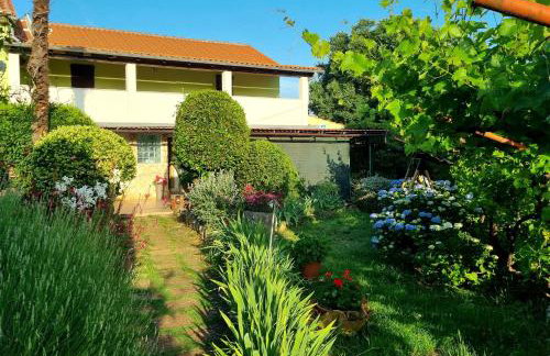 Studio Apartment Lino - Foto 10